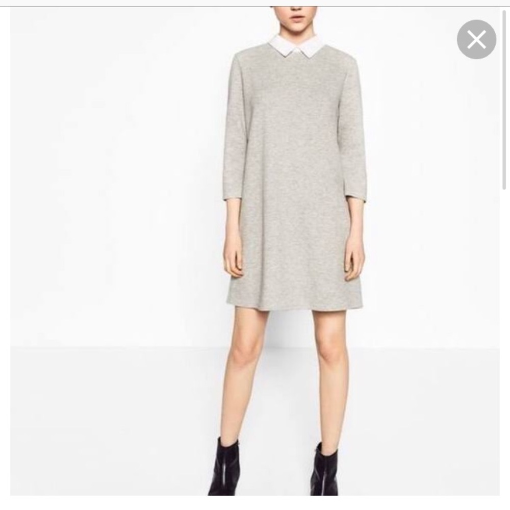ZARA Collared Dress in Black - Picture 1 of 3